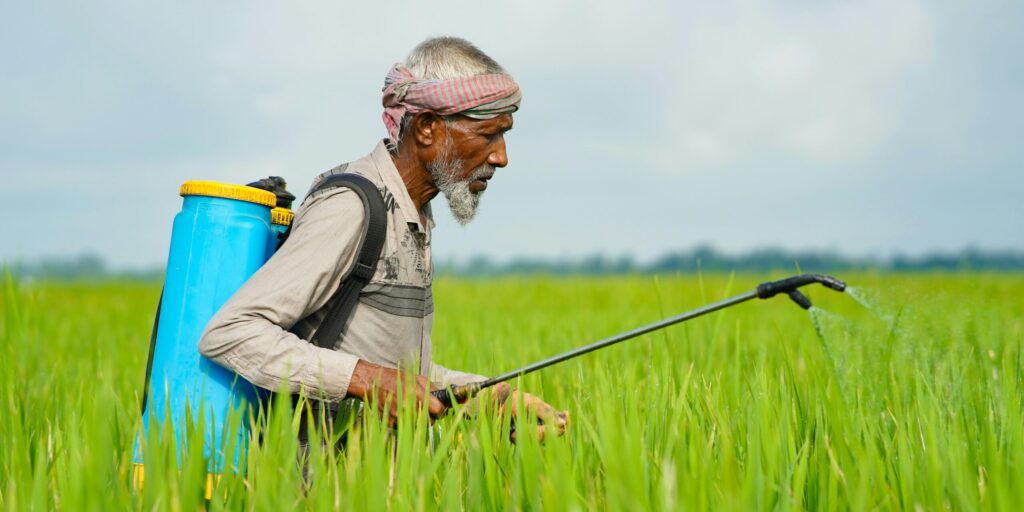 An elderly farmer with backpack sprayer applies pesticides to vibrant green field under blue sky.